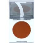 Kryolan Basic Eyes tónovací pudr na obočí