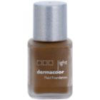 Kryolan Dermacolor Light fluidní make-up SPF 12