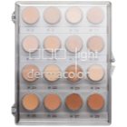 Kryolan Dermacolor Light paletă corectoare cu 16 culori