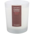 Ligne ST. Barth Guave Duftkerze 180 g