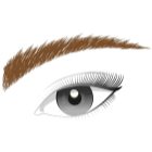 L’Oréal Paris Brow Artist Plumper gelasta maskara za obrvi