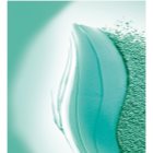 L’Oréal Paris Elseve Extraordinary Clay champú limpiador para cabello que se engrasa con rapidez