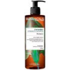 L’Oréal Paris Botanicals Strength Cure Shampoo für geschwächtes Haar