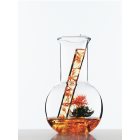 L’Oréal Paris Botanicals Rich Infusion Maske für trockenes Haar