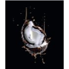 L’Oréal Paris Elseve Extraordinary Oil Coconut Voedende Masker voor Normaal tot Droog Haar