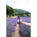 L’Oréal Paris Botanicals Lavender Conditioner für feines Haar