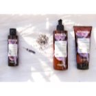 L’Oréal Paris Botanicals Lavender Shampoo für empfindliche Kopfhaut