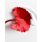 L’Oréal Paris Revitalift Cica Cream денний відновлюючий крем проти старіння шкіри