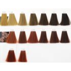 L’Oréal Professionnel Inoa ODS2 coloração de cabelo