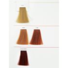 L’Oréal Professionnel Inoa ODS2 coloração de cabelo