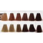 L’Oréal Professionnel Inoa ODS2 coloração de cabelo