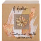 M. Micallef Collection Vanille Leather Cuir Eau de Parfum voor Vrouwen 100 ml