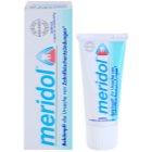 Meridol Dental Care pasta de dinti ajuta la refacerea gingiilor iritate