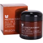 Mizon Multi Function Formula regenerační krém s filtrátem hlemýždího sekretu 92%