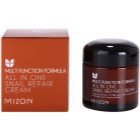 Mizon Multi Function Formula regenerační krém s filtrátem hlemýždího sekretu 92%