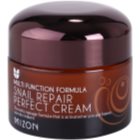 Mizon Multi Function Formula pleťový krém s filtrátem hlemýždího sekretu 60%