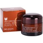 Mizon Multi Function Formula pleťový krém s filtrátem hlemýždího sekretu 60%