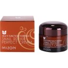 Mizon Multi Function Formula pleťový krém s filtrátem hlemýždího sekretu 60%
