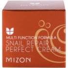 Mizon Multi Function Formula pleťový krém s filtrátem hlemýždího sekretu 60%