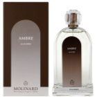 Molinard Les Elements Ambre Eau de Toilette para mulheres 100 ml