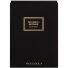 Molinard Patchouli Intense parfumska voda za ženske 75 ml