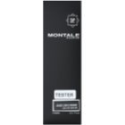 Montale Aoud Cuir d'Arabie parfémovaná voda tester pro muže 100 ml