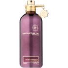Montale Aoud Greedy parfémovaná voda tester unisex 100 ml