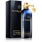 Montale Aoud Ambre parfémovaná voda unisex 100 ml