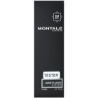 Montale Greyland parfémovaná voda tester unisex 100 ml