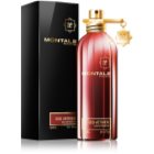 Montale Red Vetyver Eau de Parfum für Herren 100 ml