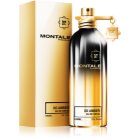 Montale So Amber Eau de Parfum unisex 100 ml