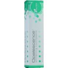 Opalescence Original Formula dentifrice blanchissant au fluorure