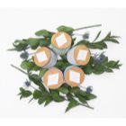 Paddywax Sonora Wildflowers & Birch lumanari parfumate 283 g