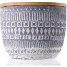 Paddywax Sonora Wildflowers & Birch Scented Candle 283 g