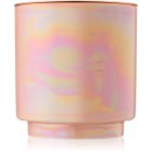 Paddywax Glow Rosewater & Coconut candela profumata 481 g