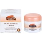 Palmer's Face & Lip Cocoa Butter Formula obnovující noční krém proti stárnutí pleti