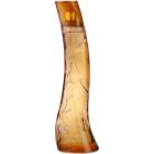 Parfums Café Café-Café Puro woda toaletowa dla mężczyzn 100 ml