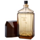 Parfums Café Homme de Café Eau de Toilette für Herren 100 ml