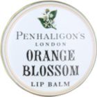 Penhaligon's Anthology: Orange Blossom balzám na rty pro ženy 15 g