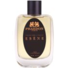 Phaedon Ebene Raumspray 100 ml