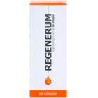 Regenerum Hair Care Herstellende Serum voor Droog en Beschadigd Haar