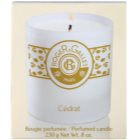 Roger & Gallet Bougie Parfumée vonná svíčka 230 g