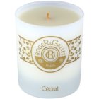 Roger & Gallet Bougie Parfumée vonná svíčka 230 g