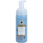 Sanoflore Aciana Botanica čisticí pěna