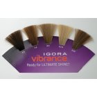 Schwarzkopf Professional IGORA Vibrance coloração de cabelo