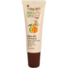 Sea of Spa Bio Spa Lippenbalsam