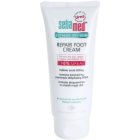 Sebamed Extreme Dry Skin regenerierende Creme für Füssen