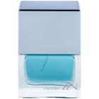 Shiseido Zen for Men Eau de Toilette for Men 100 ml
