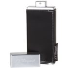 S.T. Dupont Passenger for Men Eau de Toilette für Herren 100 ml