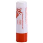 Sylveco Lip Care schützender und beruhigender Lippenbalsam mit regenerierender Wirkung